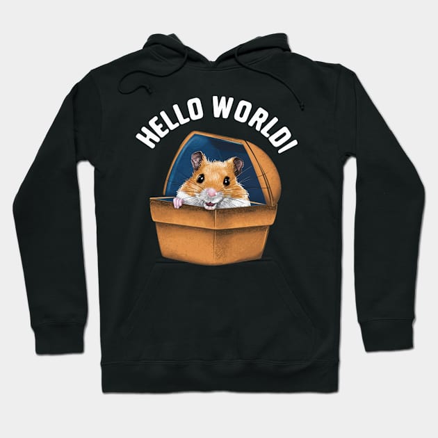 Hellow World Hoodie by zoelewi